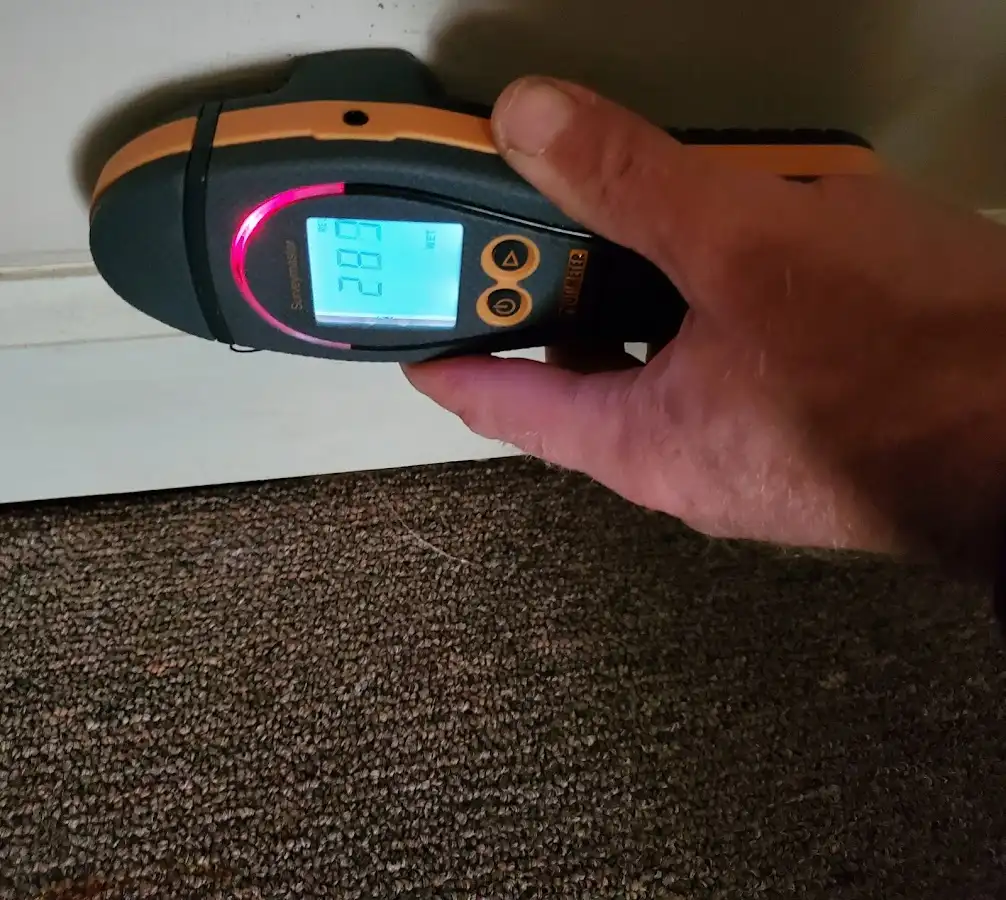 Moisture detection at baseboard during Sewage Cleanup & Sanitation in Lockport